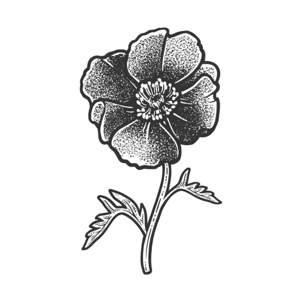 Croquis fleur de pavot gravure vectorielle illustration. T-shirt imprimé design. Imitation de carte à gratter. Image dessinée à la main noir et blanc. — Image vectorielle