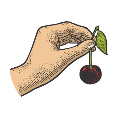 El renginde kiraz kabartması, kabartma vektör çizimi. Tişört giysisi baskısı tasarımı. Çizik tahtası taklidi. Siyah beyaz el çizimi resim.