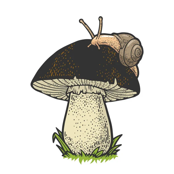 蜗牛爬行在蘑菇彩绘素描矢量插图。T恤服装印花设计。刮板仿制。黑白手绘图像. — 图库矢量图片
