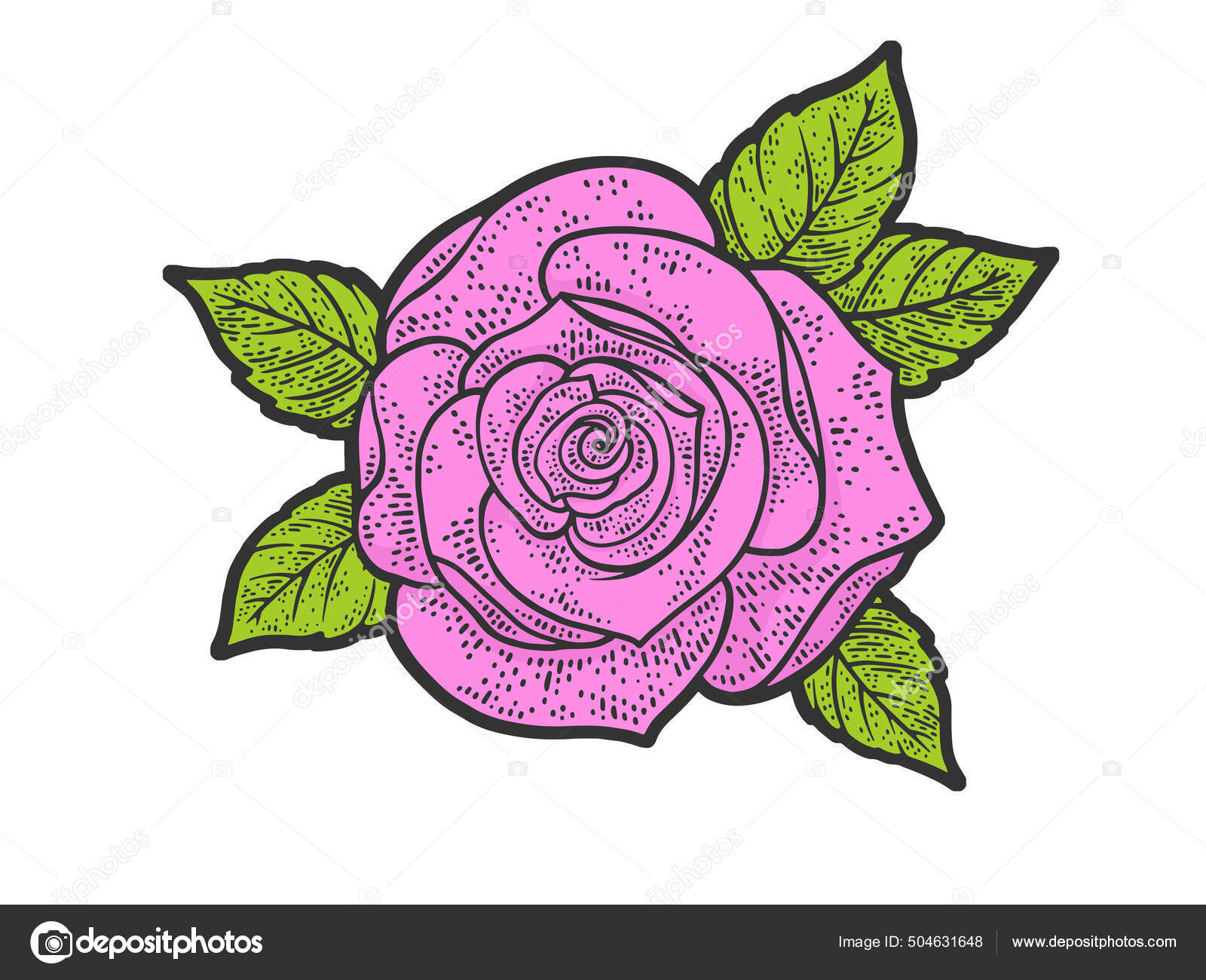 Rose flower sketch in engraving style on white background. Pink and green  color. T-shirt print. Love background. Typography design. Lettering text  Think happy be happy Stock Vector | Adobe Stock
