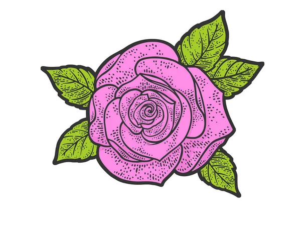 Rose linia kwiat sztuka różowy kolor szkic grawerowanie wektor ilustracja. Projekt druku odzieży T-shirt. Imitacja deski do drapania. Czarno-biały ręcznie rysowany obraz. — Wektor stockowy