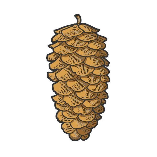 Spruce pine cone color sketch engraving vector illustration. T-shirt apparel print design. Scratch board imitation. Black and white hand drawn image. — Stock Vector