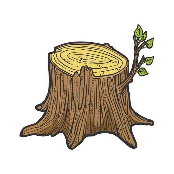 Δέντρο κούτσουρο με βλαστό έγχρωμο σκίτσο χάραξη διάνυσμα εικονογράφηση. Σχεδιασμός εκτύπωσης ρούχων T-shirt. Απομίμηση χαρτονιού. Ασπρόμαυρη ζωγραφισμένη στο χέρι εικόνα. — Διανυσματικό Αρχείο