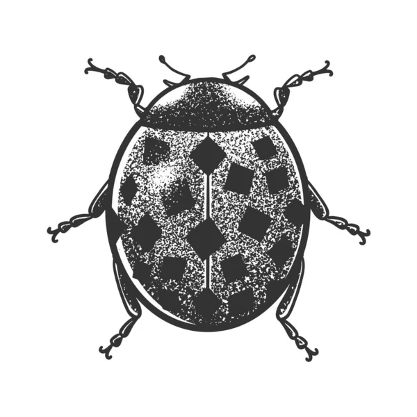 Ladybug with square specks spots sketch engraving vector illustration. T-shirt apparel print design. Scratch board imitation. Black and white hand drawn image. — Stock Vector