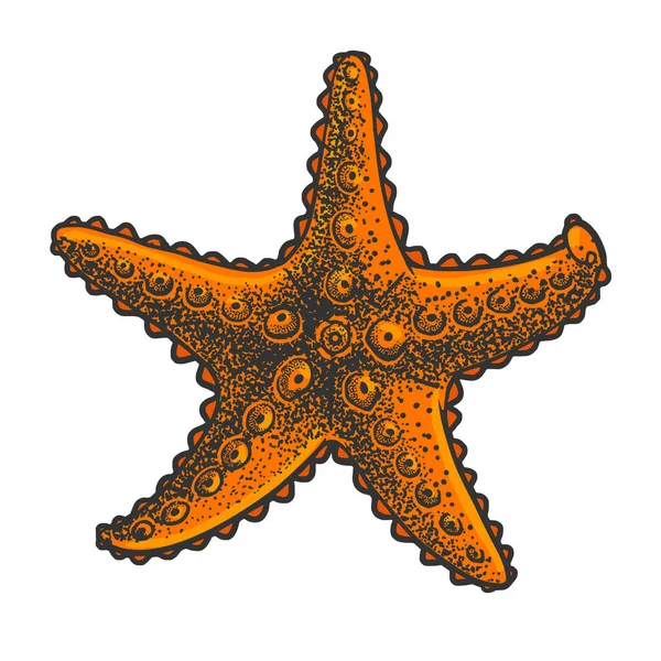 Цветной эскиз морской звезды гравировка векторной иллюстрации. Дизайн одежды для футболок. Имитация Доски Царапин. Черно-белое изображение. — стоковый вектор