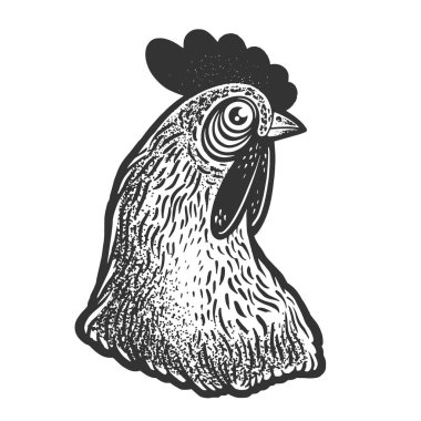Chicken head sketch engraving vector illustration. T-shirt apparel print design. Scratch board imitation. Black and white hand drawn image. vector Chicken head sketch engraving vector illustration. T-shirt apparel print design. Scratch board imitation. Black and white hand drawn image. vector