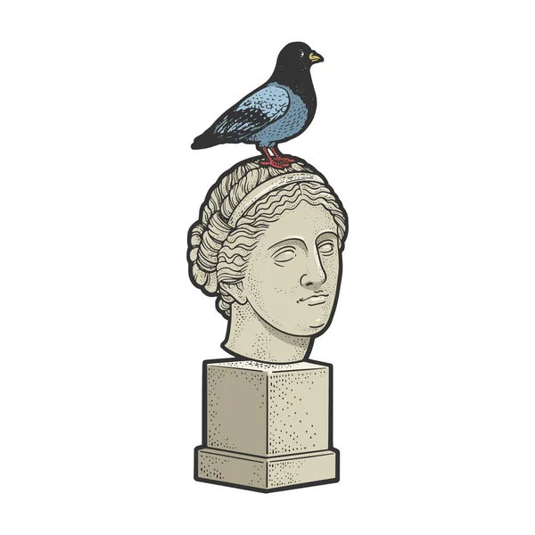 Pigeon colombe assis sur la tête d'une statue ligne art couleur croquis gravure vectoriel illustration. T-shirt imprimé design. Imitation de carte à gratter. Image dessinée à la main noir et blanc. — Image vectorielle