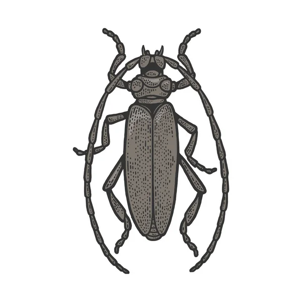 Hosszúszarvú bogár rovar színes vázlat metszet vektor illusztráció. Póló mintás ruha. Karcolódeszka utánzat. Fekete-fehér kézzel rajzolt kép. — Stock Vector