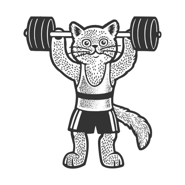 Gato levantador de pesas atleta boceto grabado vector ilustración. Diseño de estampado de ropa de camiseta. Scratch board imitación. Imagen dibujada a mano en blanco y negro. — Vector de stock