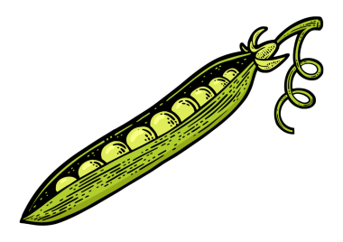 Bezelye çizgisi çizimi PNG çizimi. Tişört giysisi baskısı tasarımı. Çizik tahtası taklidi. Siyah beyaz el çizimi resim.