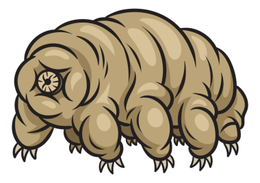 Tardigrad su ayısı pop sanatı PNG illüstrasyonu