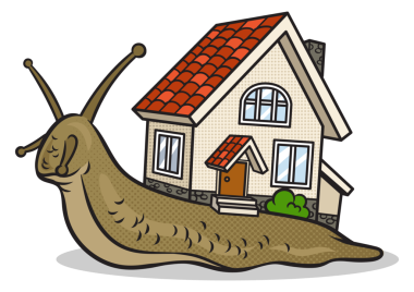 Kabuklu salyangoz yerine evle salyangoz.