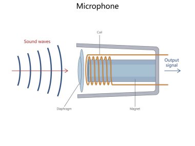 Dinamik mikrofon, ses dalgalarının diyafram ve bobini hareket ettirerek bir çıkış sinyali diyagramı oluşturduğu el çizimi şematik vektör. Bilim Eğitimsel İllüstrasyon