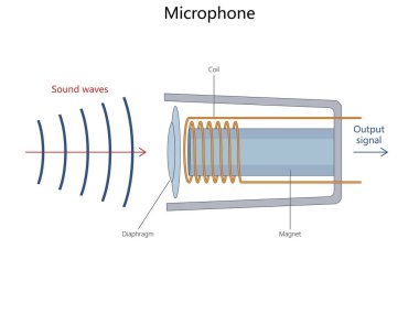Dinamik mikrofon, ses dalgalarının diyafram ve bobini hareket ettirdiği çıkış sinyali diyagramı çizilmiş şematik raster. Bilim Eğitimsel İllüstrasyon