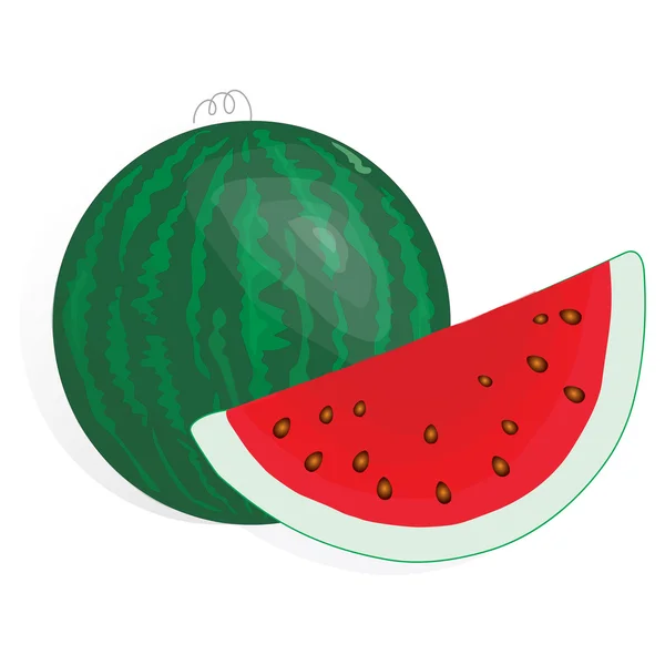 Wassermelonenfrucht — Stockvektor