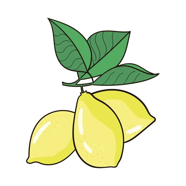 Citron frukt — Stock vektor
