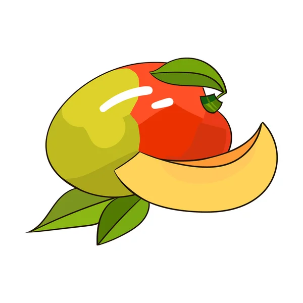 Mango ovoce vektorové ilustrace — Stockový vektor