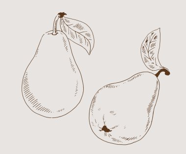 Armut 2 sketch vektör çizim
