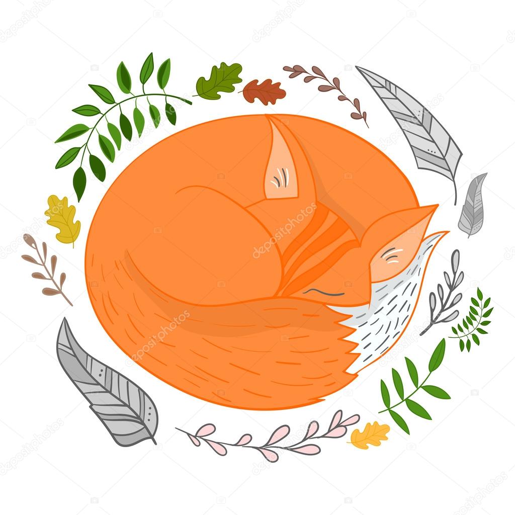 Sleeping fox vector illustration