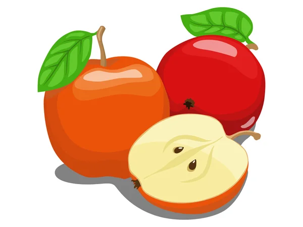 Farbe Apfel Fruchtvektor Illustration — Stockvektor