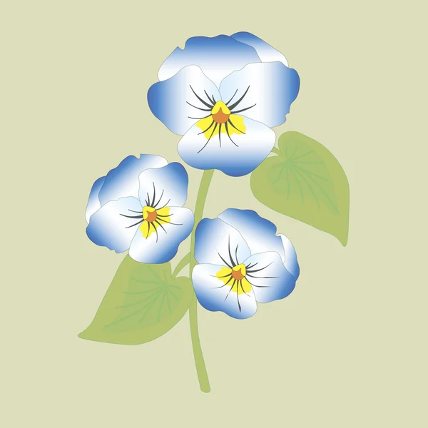 Viola Blumen Vektor Illustration — Stockvektor