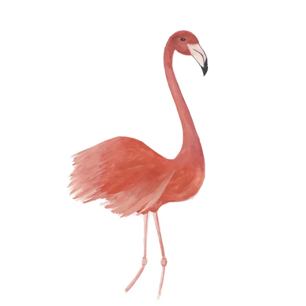 Flamingo suluboya izole kuş vektör — Stok Vektör
