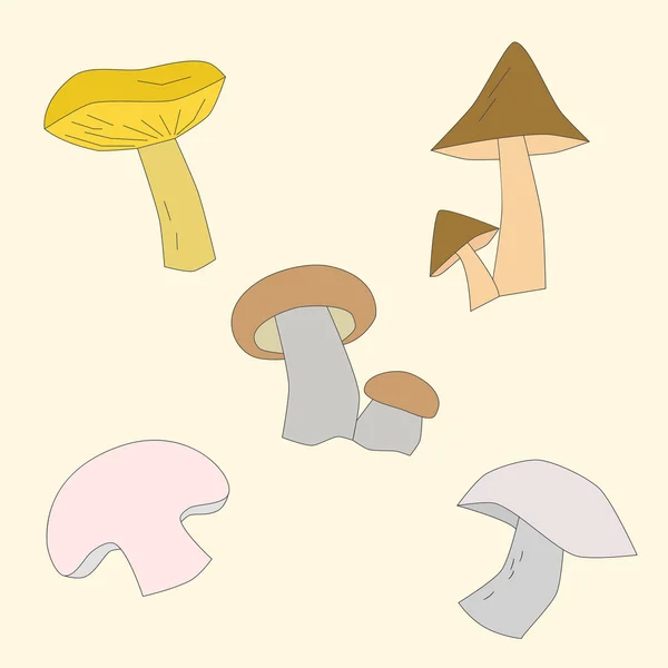 Mushrooms vector illustration — Stock Vector