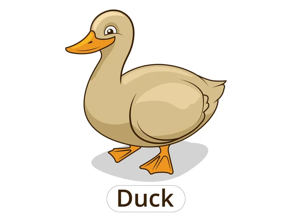 Duck animal cartoon illustration for children