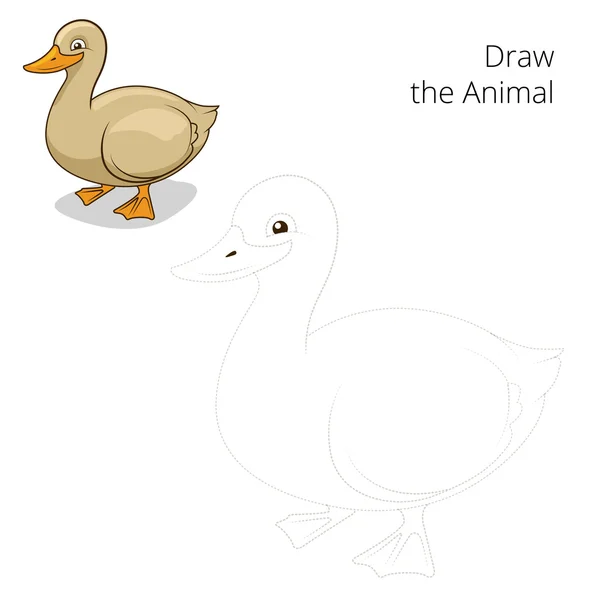 Kreslení zvířat kachna vzdělávací hra vektor — Stockový vektor