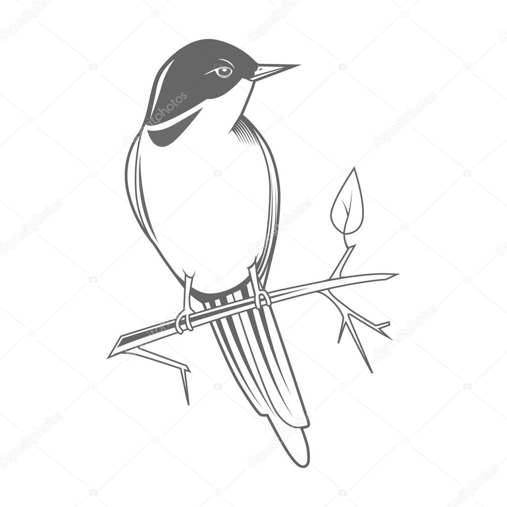Engraving bird nightingale emblem color grey vector illustration