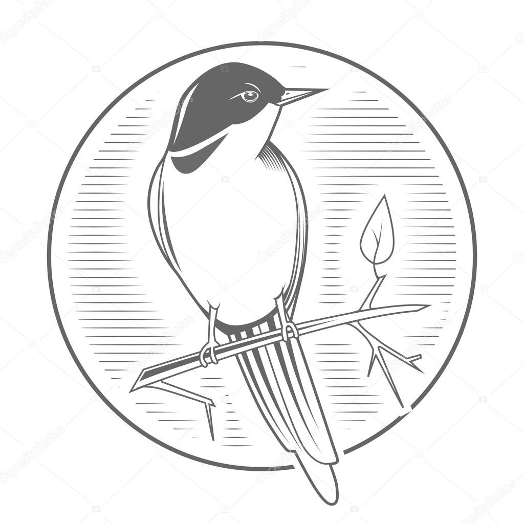 Engraving bird nightingale emblem color grey vector illustration