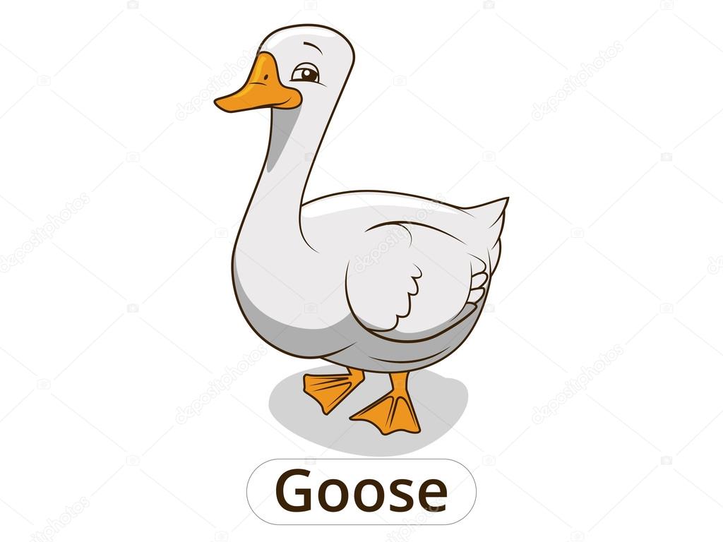 Goose animal cartoon illustration for children