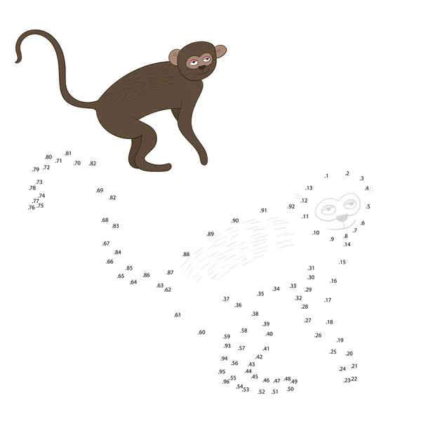 Připojit tečky hry kočkodani opice vektor — Stockový vektor