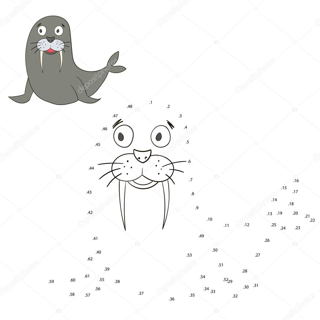 Connect the dots game seal vector illustration