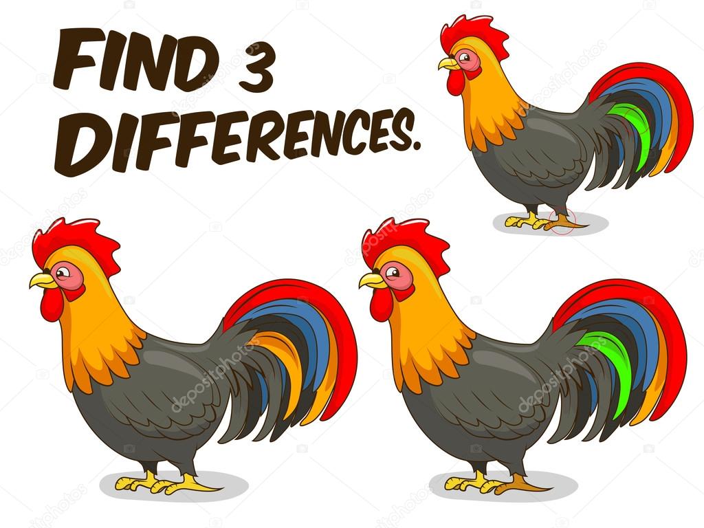 Find differences game rooster vector illustration