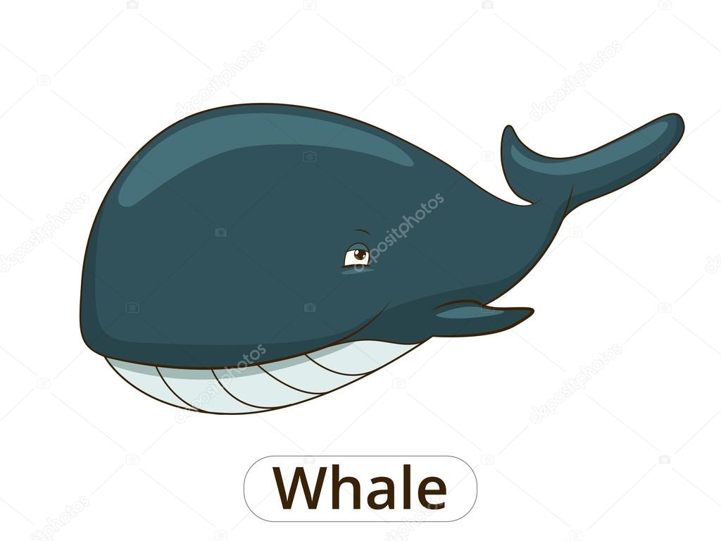 Whale sea animal fish cartoon illustration