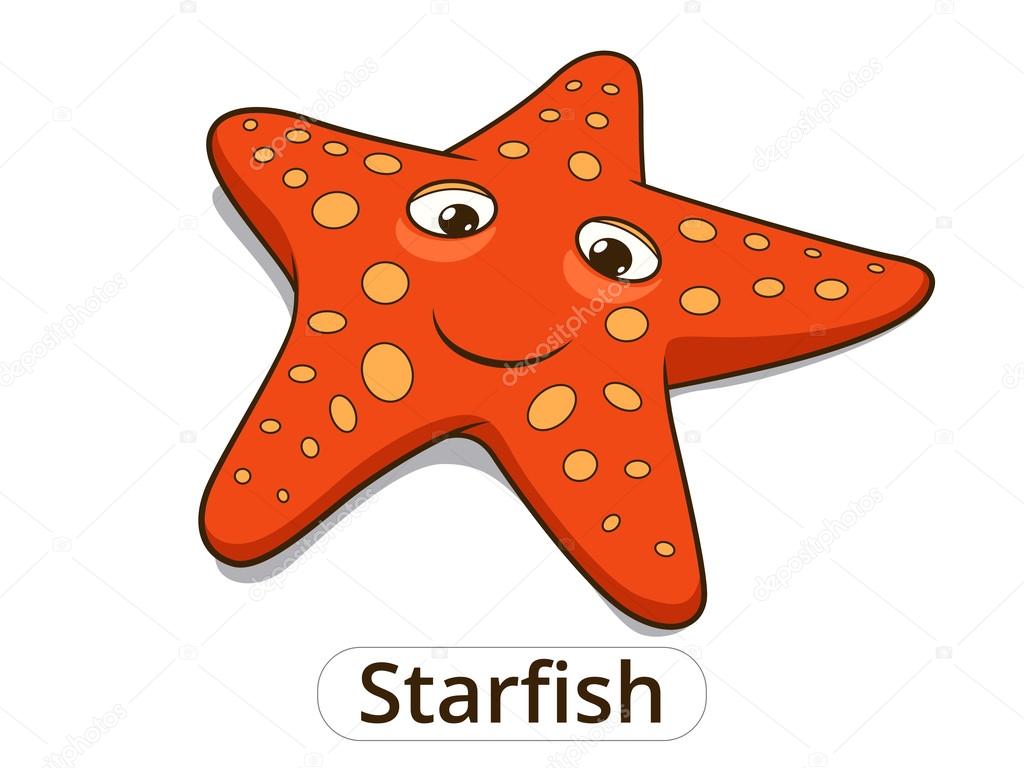 Starfish sea fish cartoon illustration
