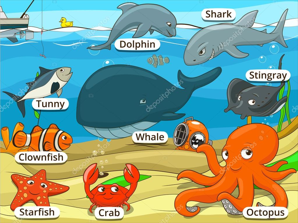 Underwater animals and fish with names cartoon Stock Vector Image by  ©AlexanderPokusay #87260932