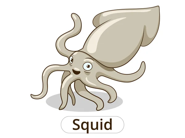 Squid onderwater dierlijk beeldverhaal illustratie — Stockvector