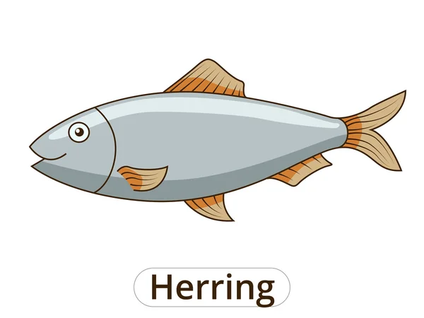 Ringa balığı sualtı hayvan karikatür çizimi — Stok Vektör