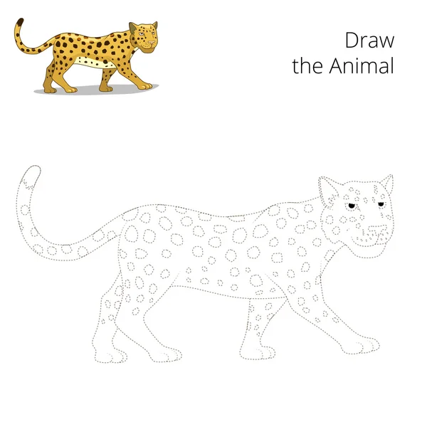 Desenhe o leopardo jogo educativo animal —  Vetores de Stock