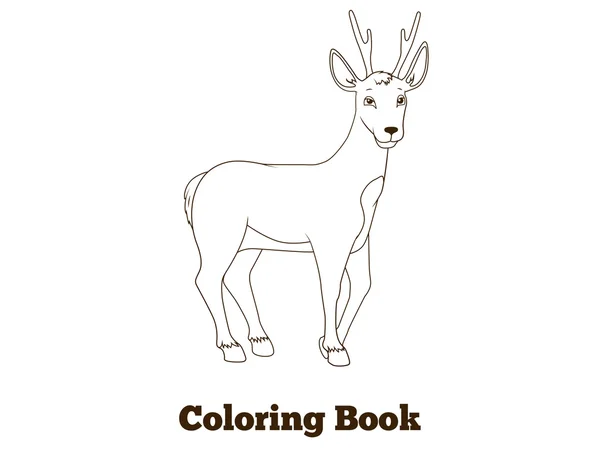 Coloring book forest animal roe deer cartoon — Stock Vector