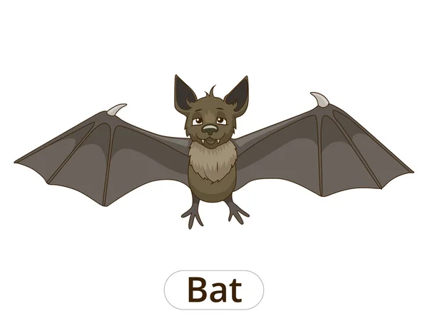 picture Animales Nocturnos Animados En Español animal nocturno vectores grafico