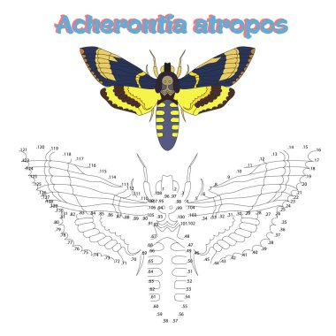 Eğitici bir oyun bağlantı noktaları kelebek çizmek için