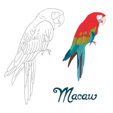 Kitap vektör Illustration boyama eğitim oyunu