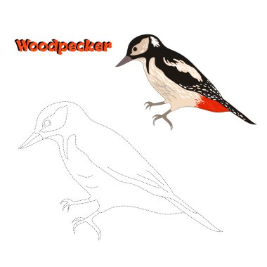 Eğitici bir oyun bağlantı noktaları kuş çizmek için