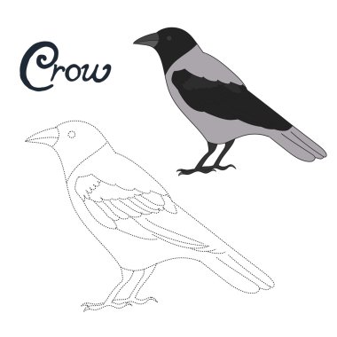 Karga kuş çizmek için noktalar connect eğitim oyunu