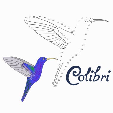 Colibri kuş çizmek için noktalar connect eğitim oyunu