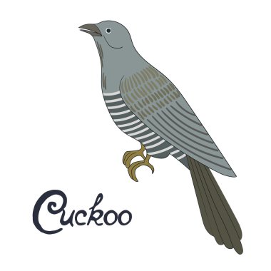 Bird cuckoo vector illustration clipart