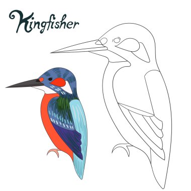 Eğitim oyun boyama kitabı kingfisher kuş